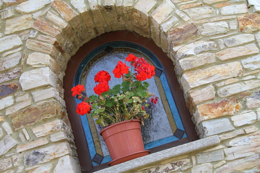 Hotel Ristorante Belsito Borgo San Dalmazzo Dış mekan fotoğraf